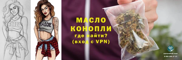 сатива Армянск