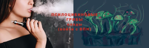 хмурый Алексеевка
