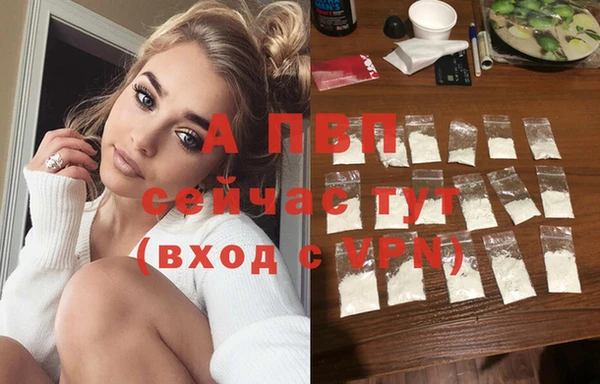 сатива Армянск