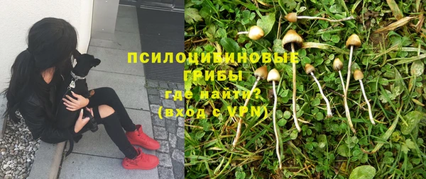 экстази Аркадак