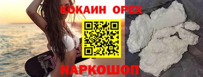 индика Камышлов