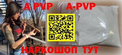 индика Камышлов