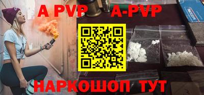 индика Камышлов