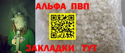 индика Камышлов