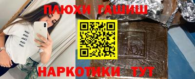 индика Камышлов