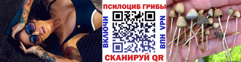 Галлюциногенные грибы Psilocybe  закладки  Люберцы 